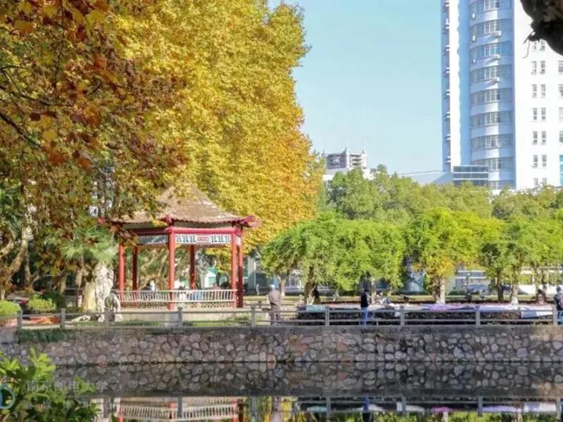 南京邮电大学专接本报名方式